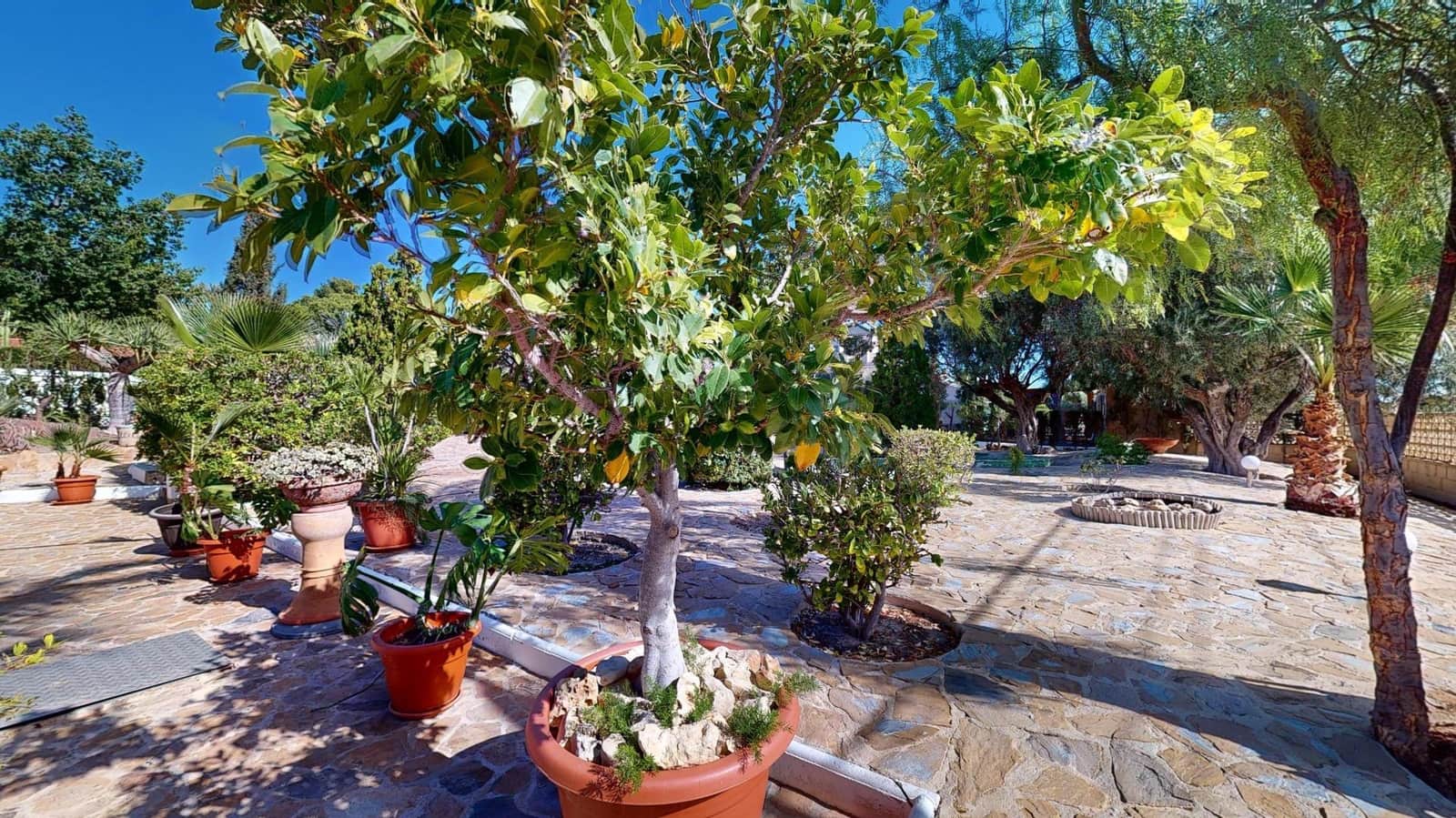 6 soverom Villa til salgs i Elche / Elx med svømmebasseng garasje - € 575 000 (Ref: 8626877)