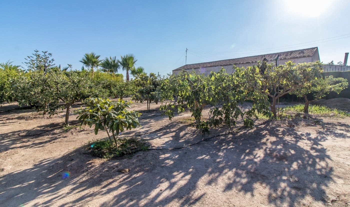 6 soveværelse Villa til salg i Valverde med swimmingpool garage - € 920.000 (Ref: 8949007)