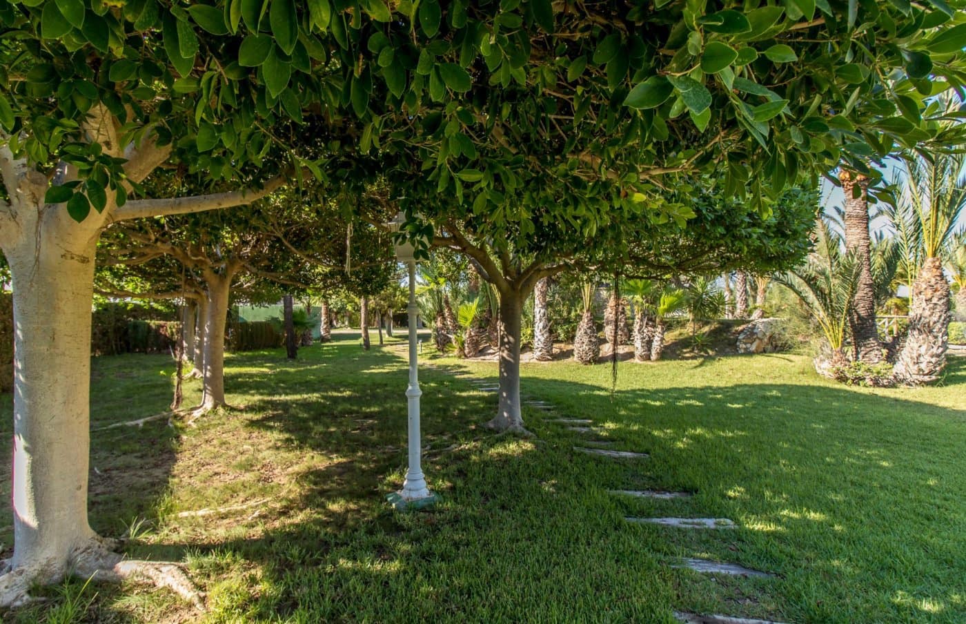 6 soveværelse Villa til salg i Valverde med swimmingpool garage - € 920.000 (Ref: 8949007)