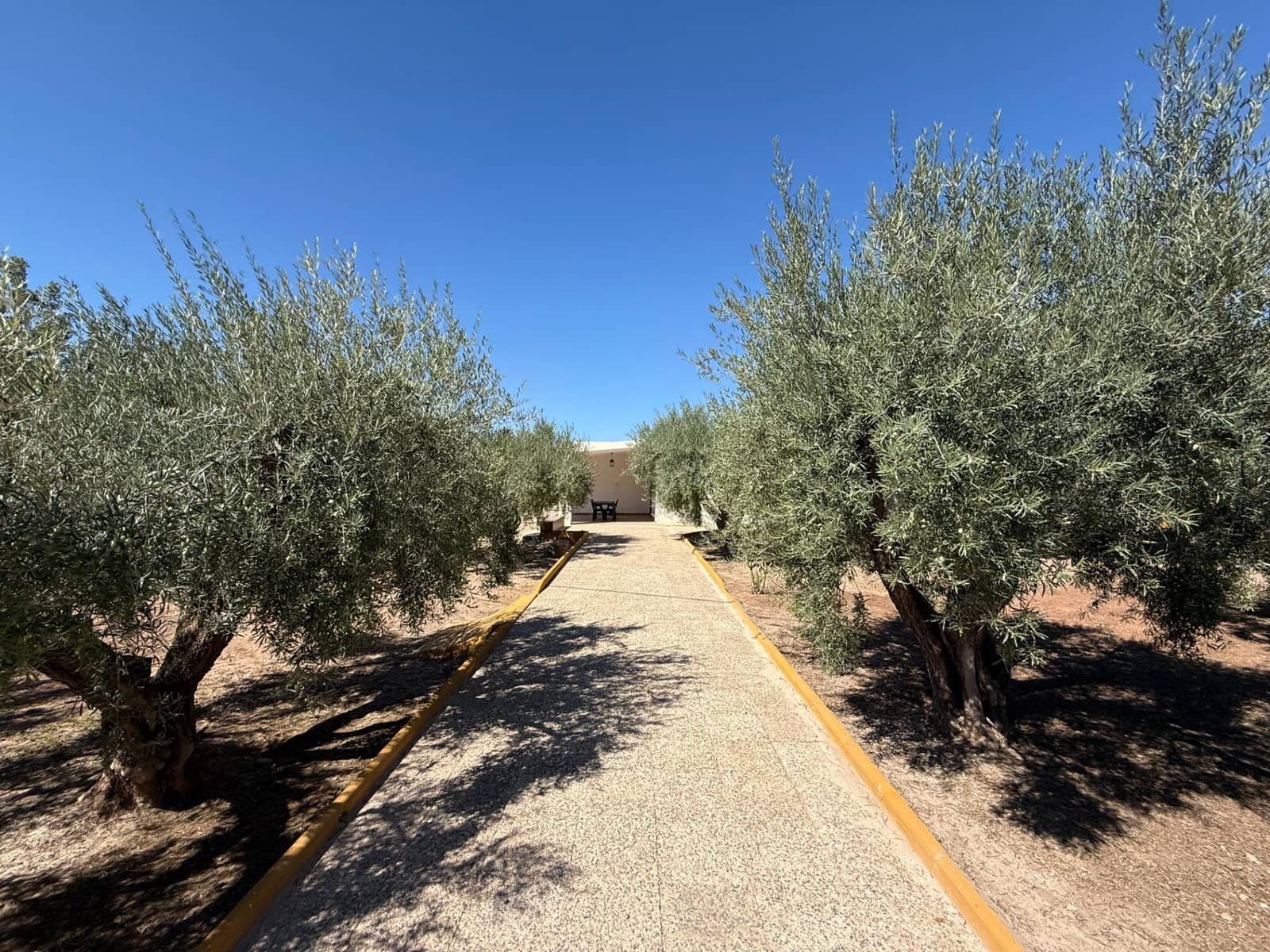 3 sypialnia Willa na sprzedaż w Elche / Elx z garażem - 349 000 € (Ref: 9247072)