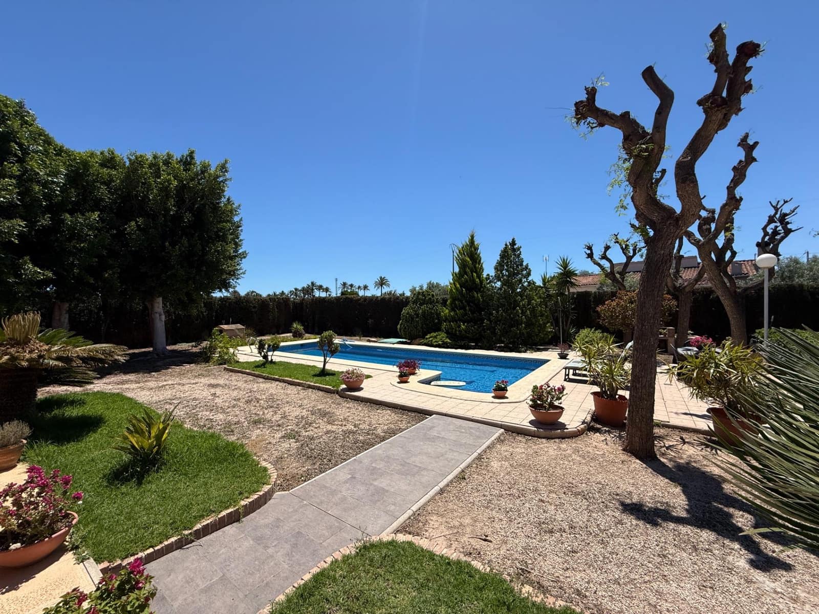 5 chambre Villa/Maison à vendre à Elche / Elx avec piscine - 677 000 € (Ref: 9868712)