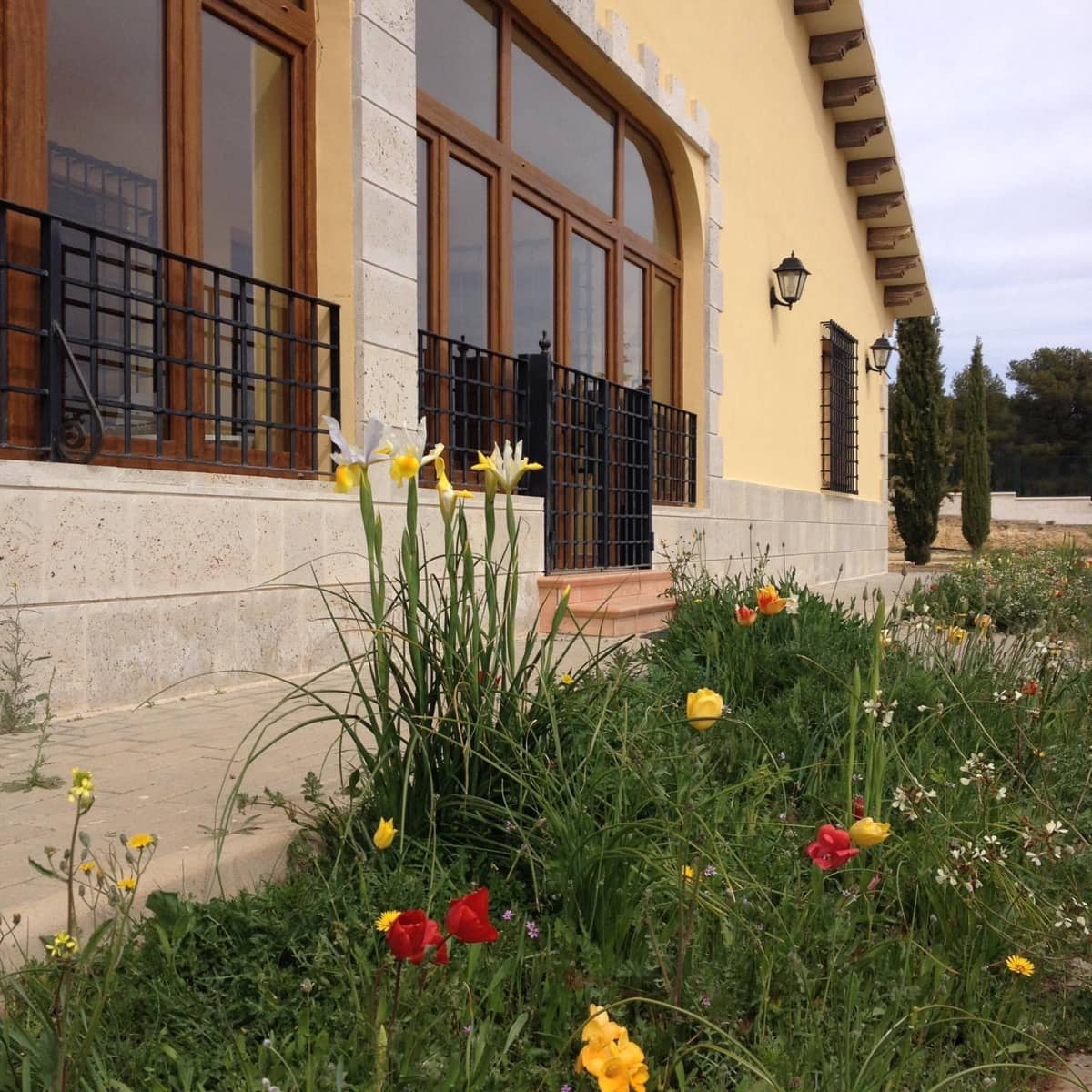 4 bedroom Finca/Country House for sale in Ayora - € 3,500,000 (Ref: 10043164)