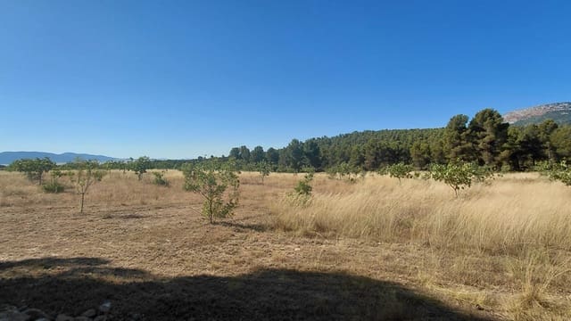 4 bedroom Finca/Country House for sale in Ayora - € 3,500,000 (Ref: 10043164)
