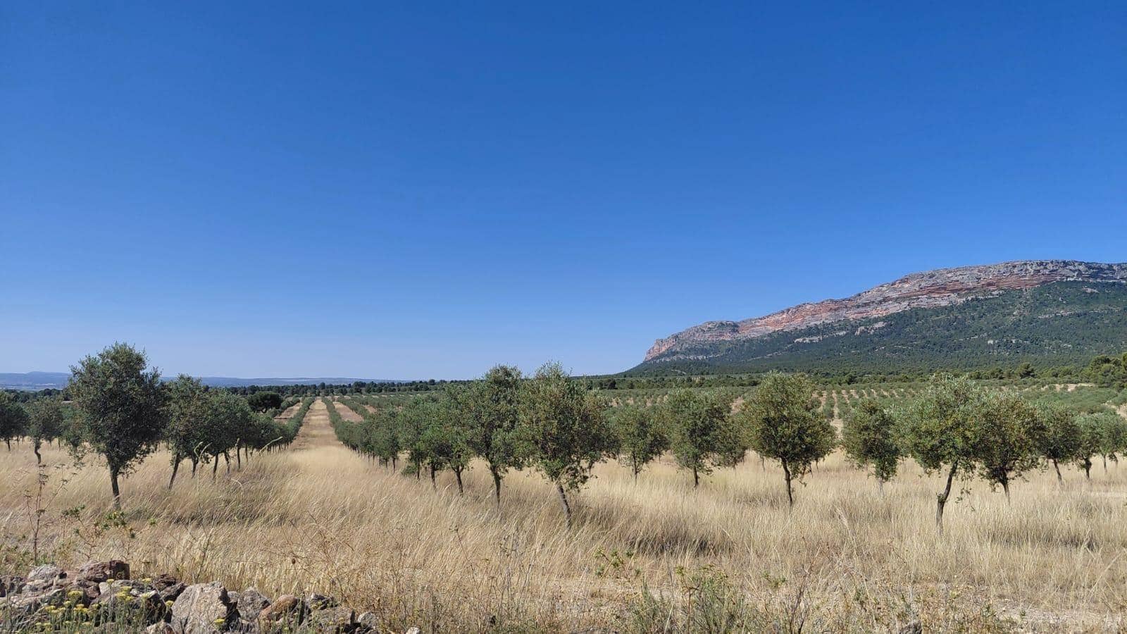 4 bedroom Finca/Country House for sale in Ayora - € 3,500,000 (Ref: 10043164)