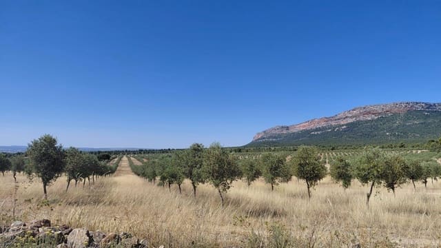 4 bedroom Finca/Country House for sale in Ayora - € 3,500,000 (Ref: 10043164)