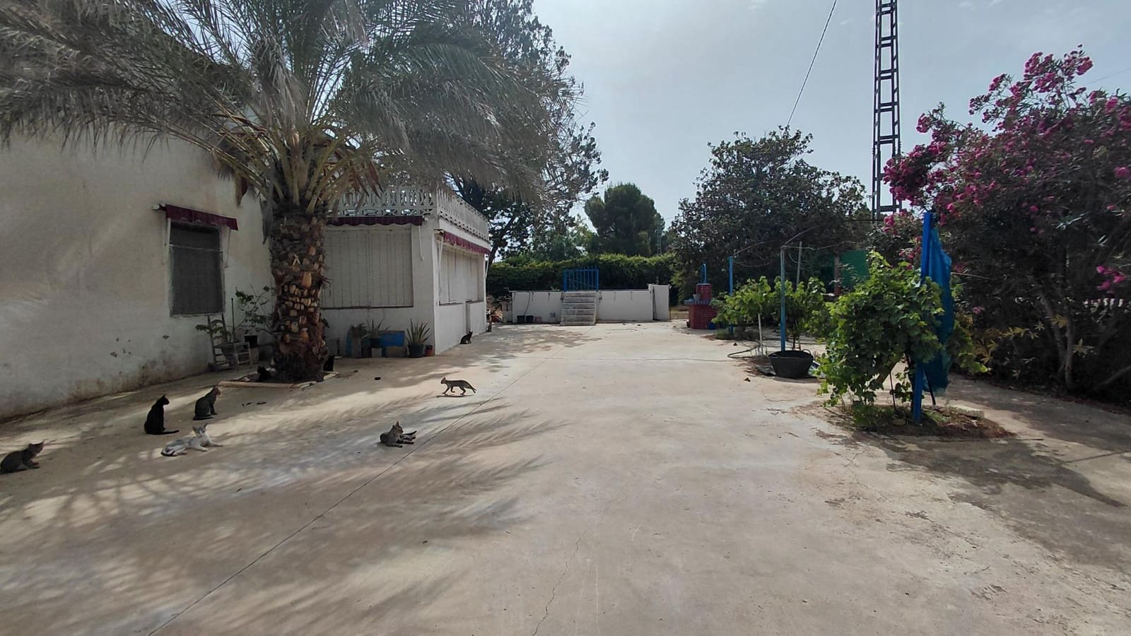 Finca/Casa Rural de 3 habitaciones en Villena en venta con piscina - 115.000 € (Ref: 10100367)