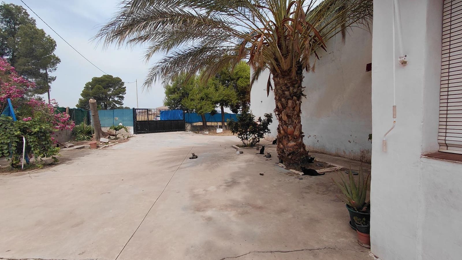 Finca/Casa Rural de 3 habitaciones en Villena en venta con piscina - 115.000 € (Ref: 10100367)