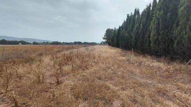 Finca/Casa Rural de 3 habitaciones en Villena en venta con piscina - 115.000 € (Ref: 10100367)