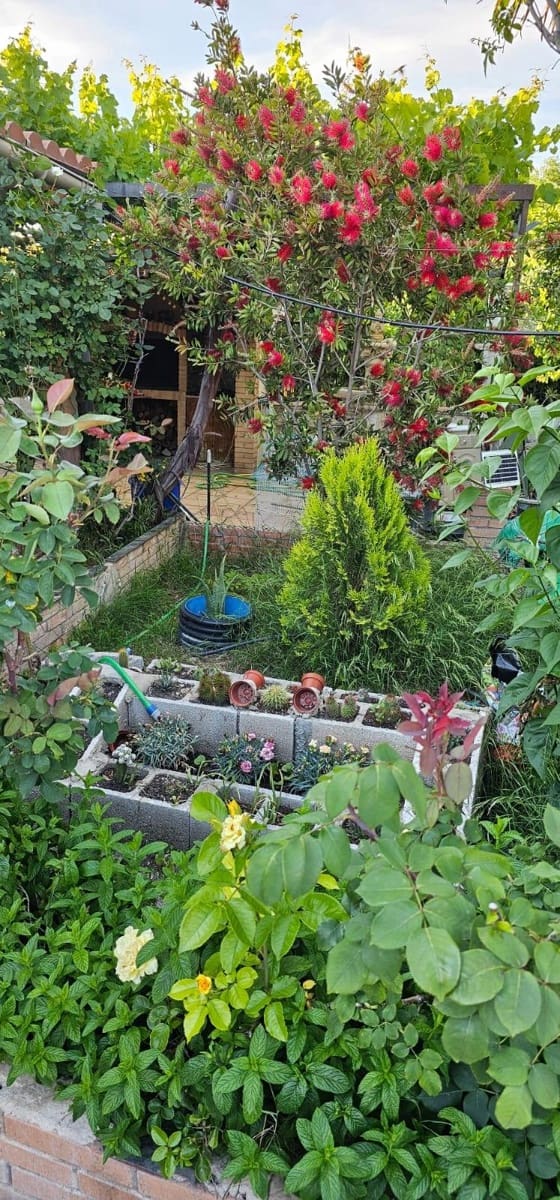 4 slaapkamer Villa te koop in Villena met zwembad garage - € 260.000 (Ref: 9273639)