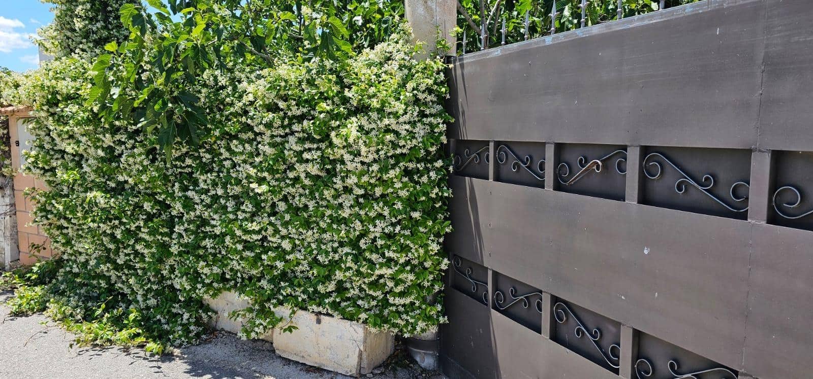 4 slaapkamer Villa te koop in Villena met zwembad garage - € 260.000 (Ref: 9273639)