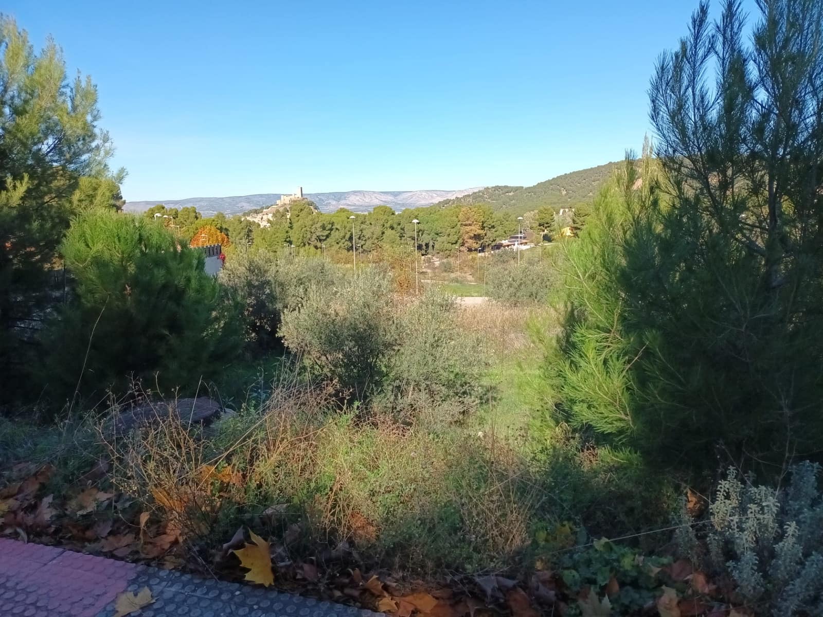 Byggetomt til salgs i Biar - € 280 350 (Ref: 9276500)