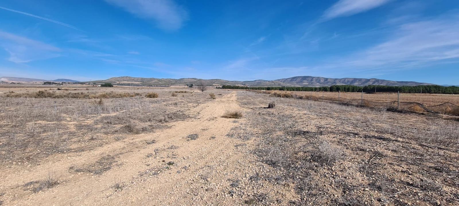 Byggegrund til salg i Villena - € 59.950 (Ref: 9276502)