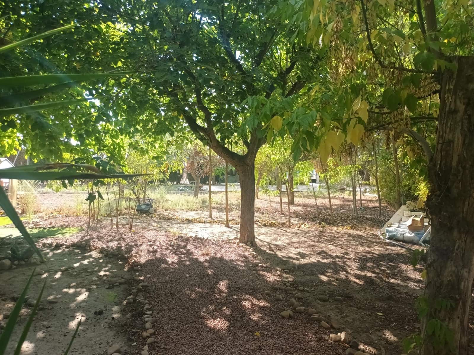 6 sypialnia Willa na sprzedaż w Villena z basenem - 320 000 € (Ref: 9285363)