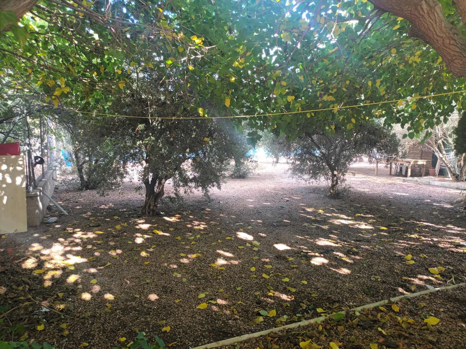 6 soverom Villa til salgs i Villena med svømmebasseng - € 310 000 (Ref: 9285363)