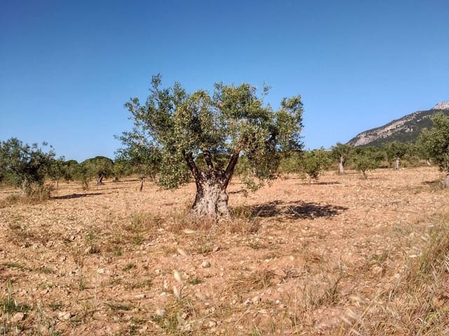 Tomt till salu i Villena - 40 000 € (Ref: 9341088)