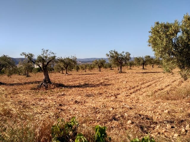 Tomt till salu i Villena - 40 000 € (Ref: 9341088)
