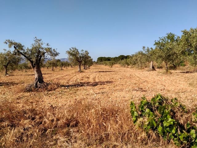 Tomt till salu i Villena - 40 000 € (Ref: 9341088)