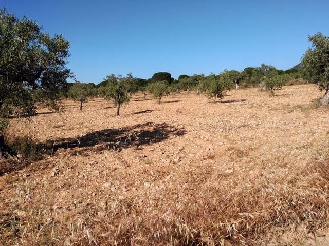 Tomt till salu i Villena - 40 000 € (Ref: 9341088)