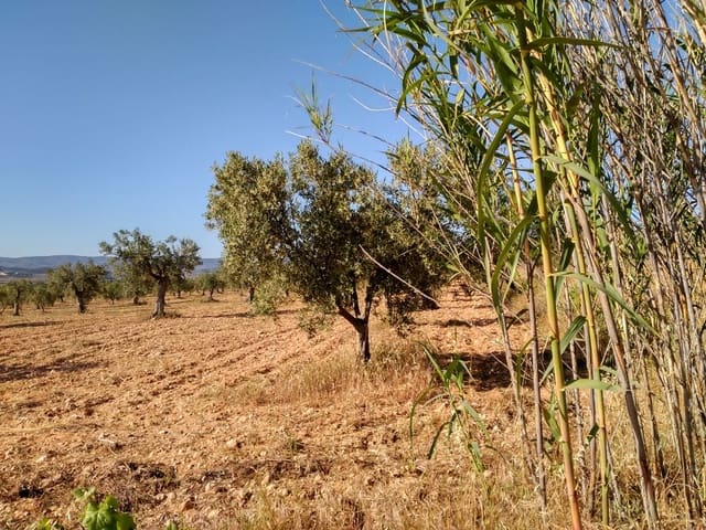 Tomt till salu i Villena - 40 000 € (Ref: 9341088)