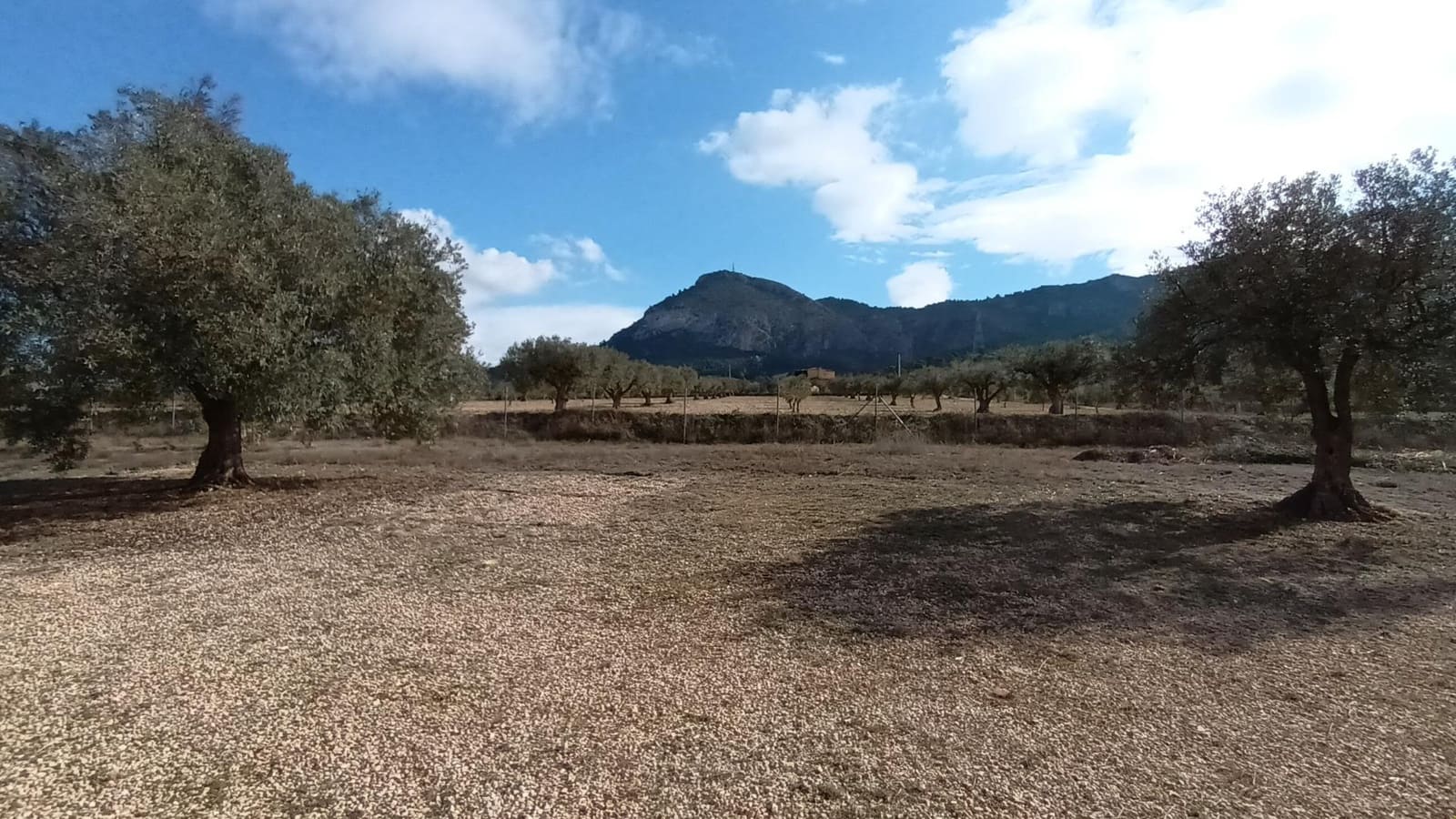 3 sovrum Villa till salu i Villena med pool - 245 000 € (Ref: 9359429)