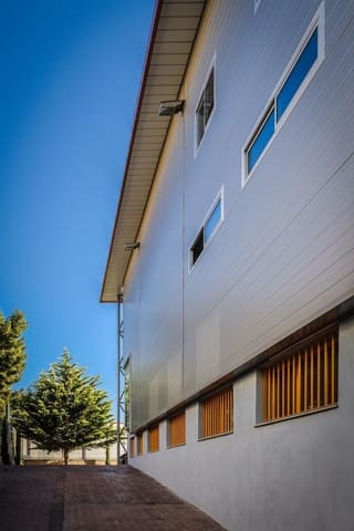 Bedrijf te koop in Villena - € 900.000 (Ref: 9524488)