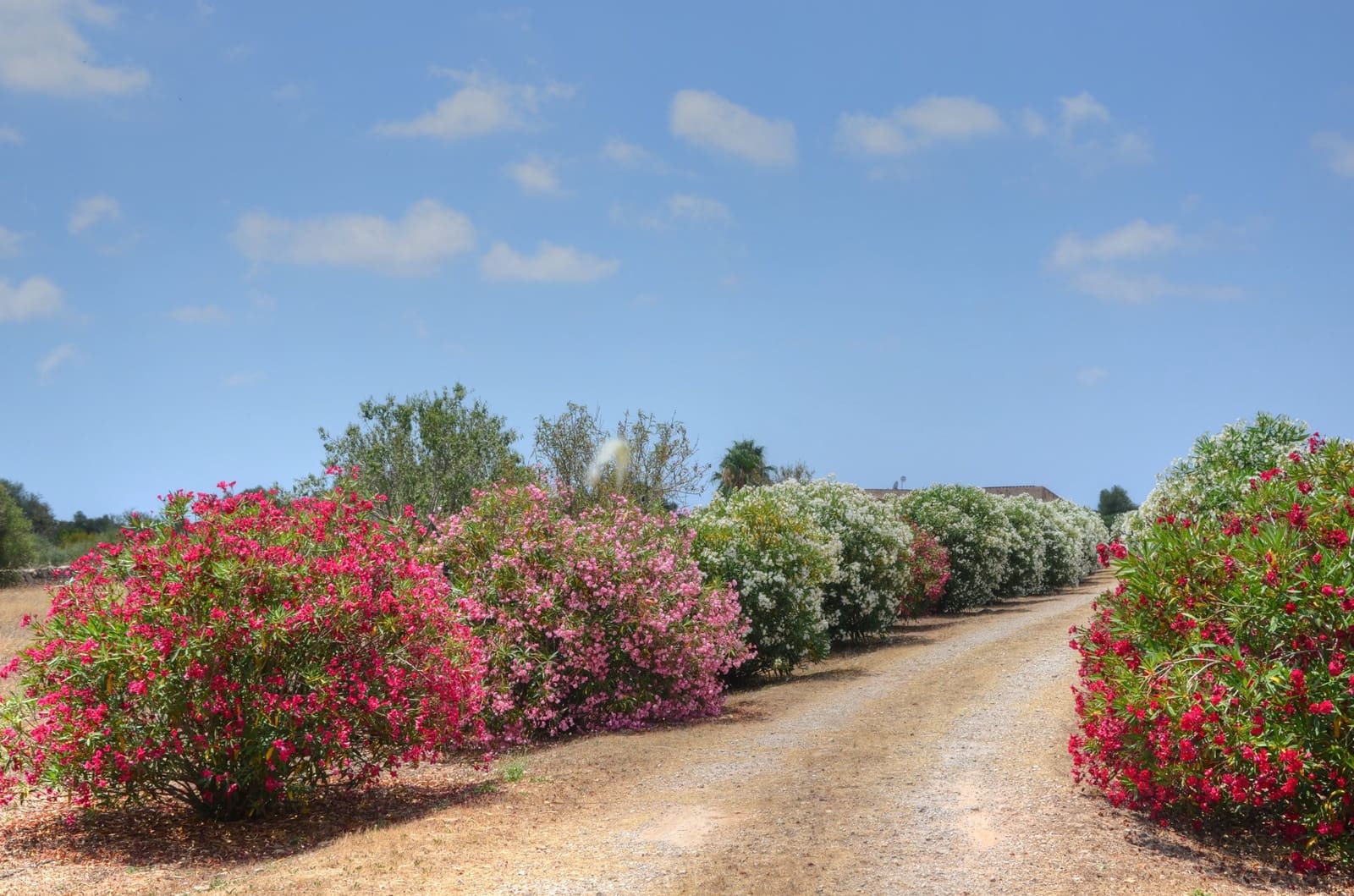 4 Zimmer Finca/Landgut zu verkaufen in Es Llombards mit Pool - 1.950.000 € (Ref: 9106301)