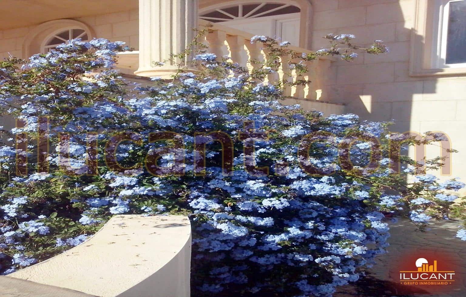 4 slaapkamer Villa te koop in Muchamiel / Mutxamel met garage - € 499.000 (Ref: 9114705)