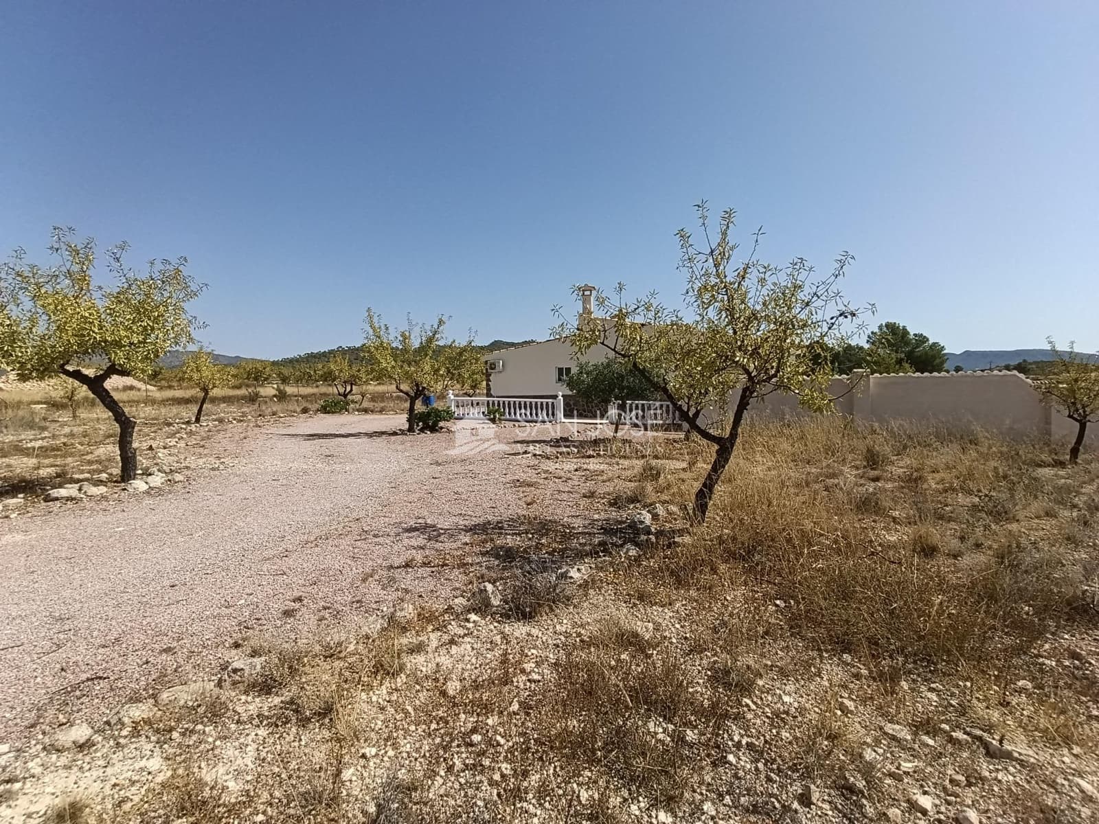 3 Zimmer Villa zu verkaufen in Pinoso mit Pool - 325.000 € (Ref: 10064619)