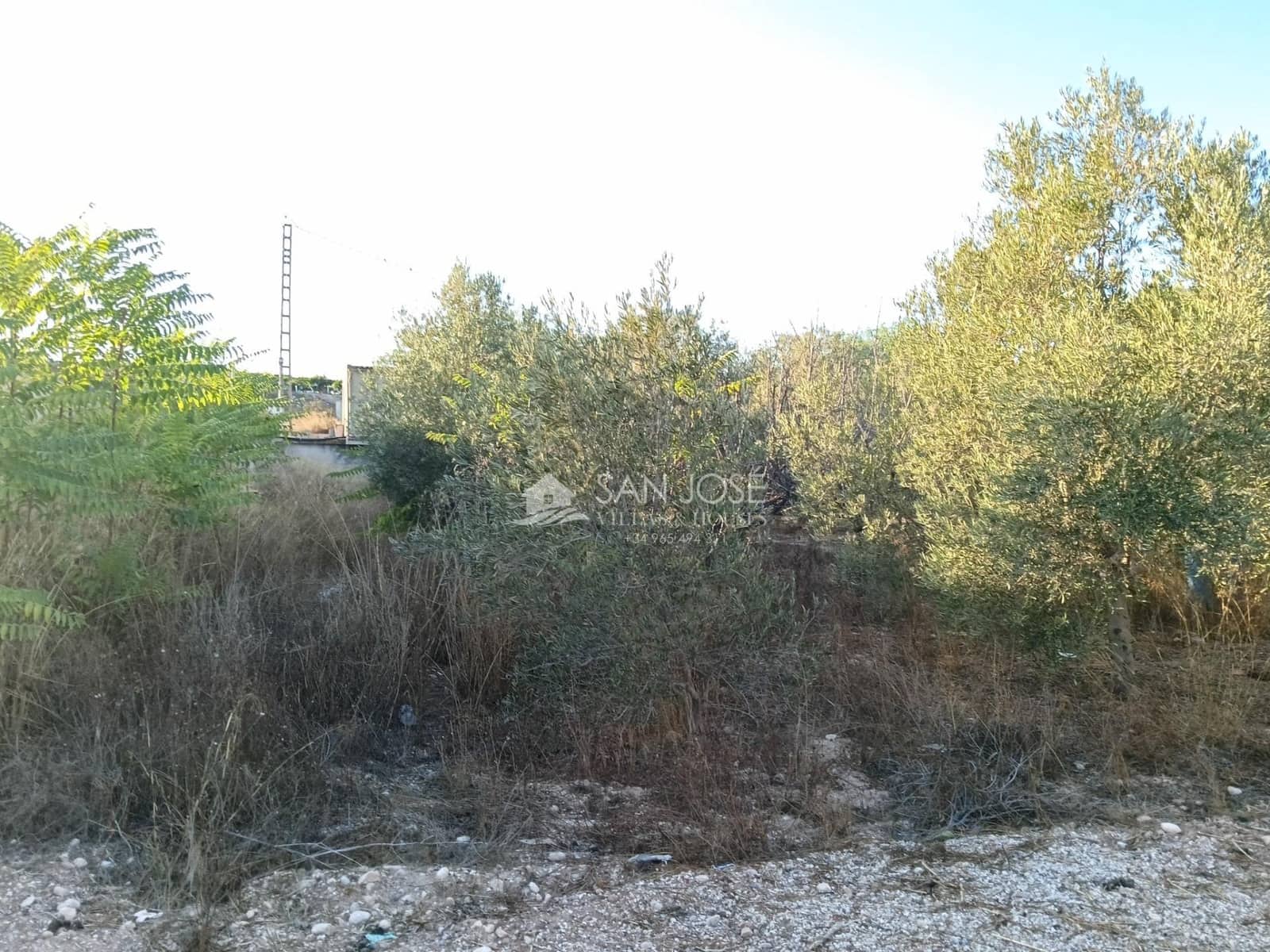 3 bedroom Villa for sale in Aspe - € 195,000 (Ref: 10109656)
