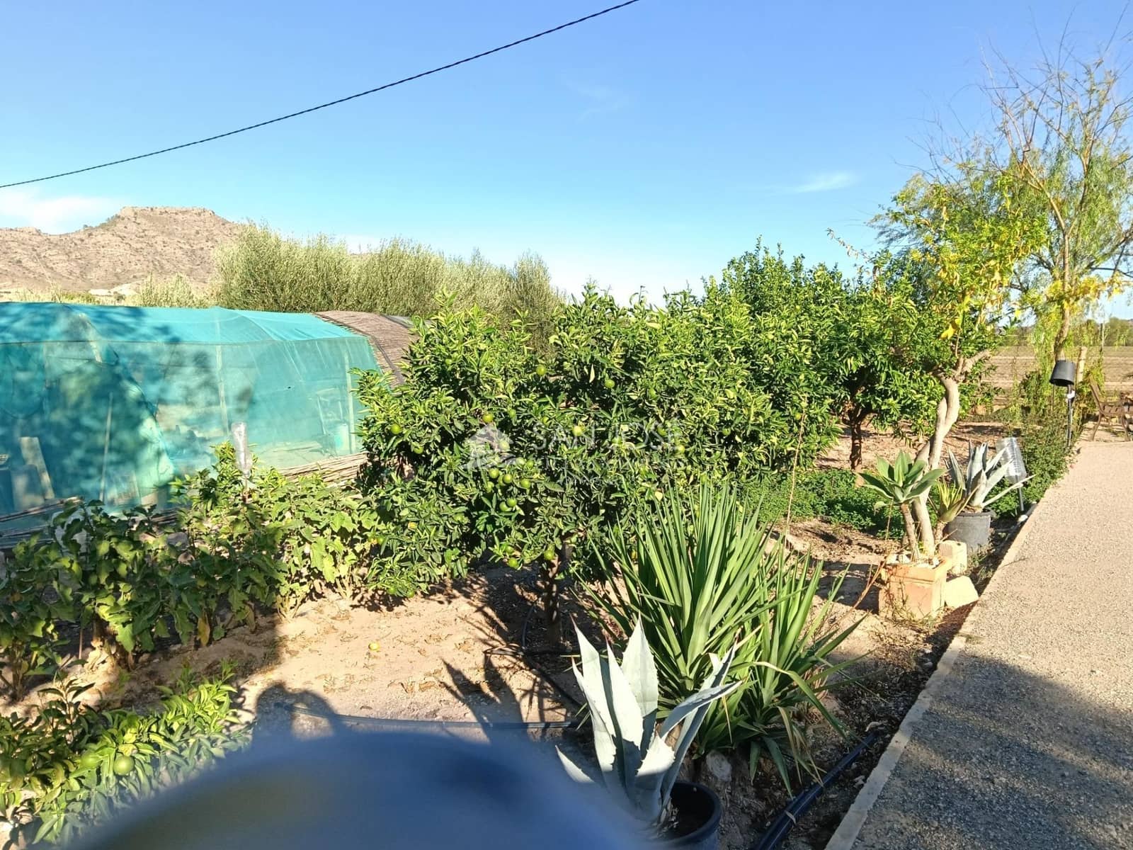 3 bedroom Villa for sale in Aspe - € 272,584 (Ref: 10131820)