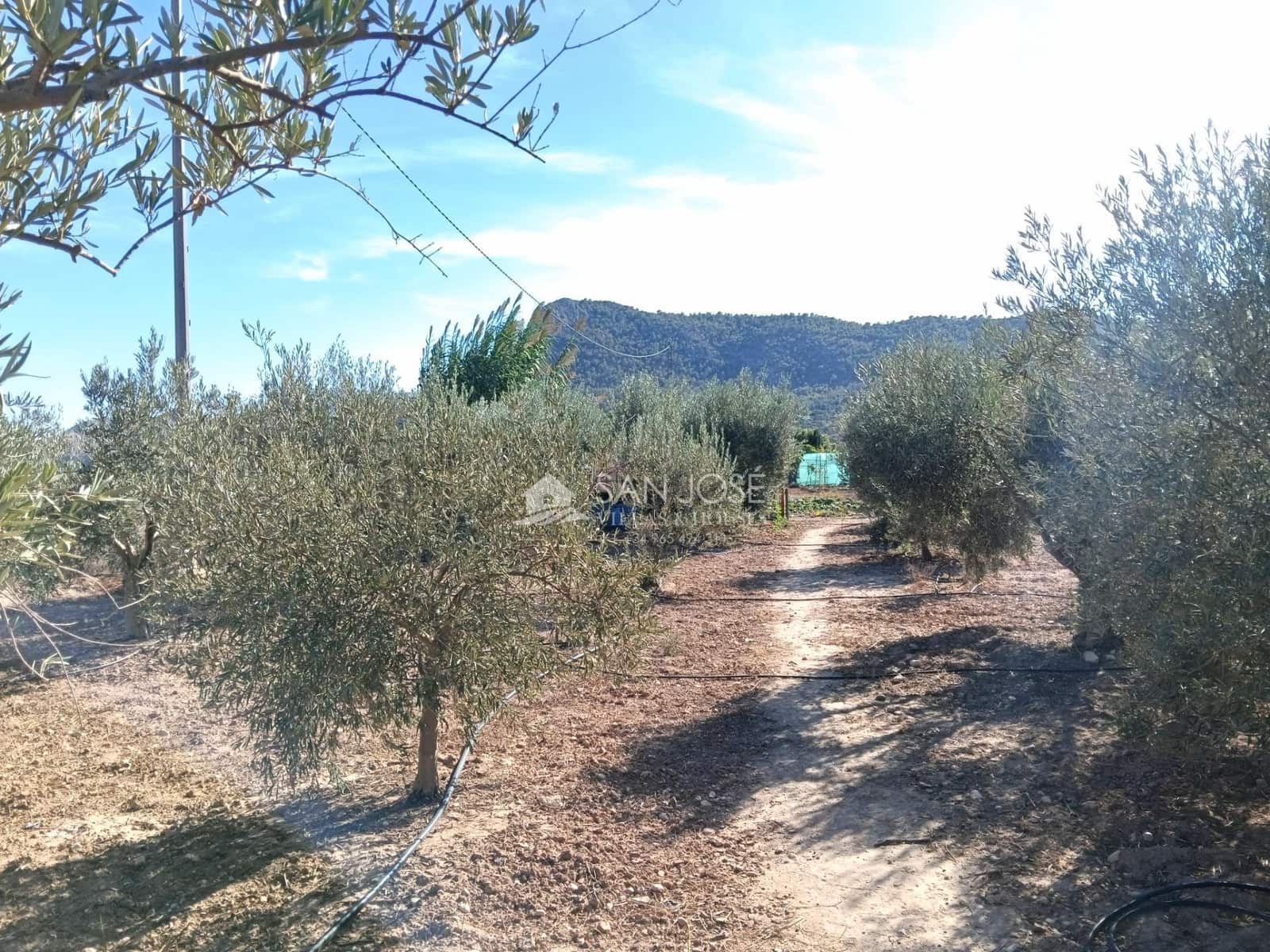3 bedroom Villa for sale in Aspe - € 272,584 (Ref: 10131820)