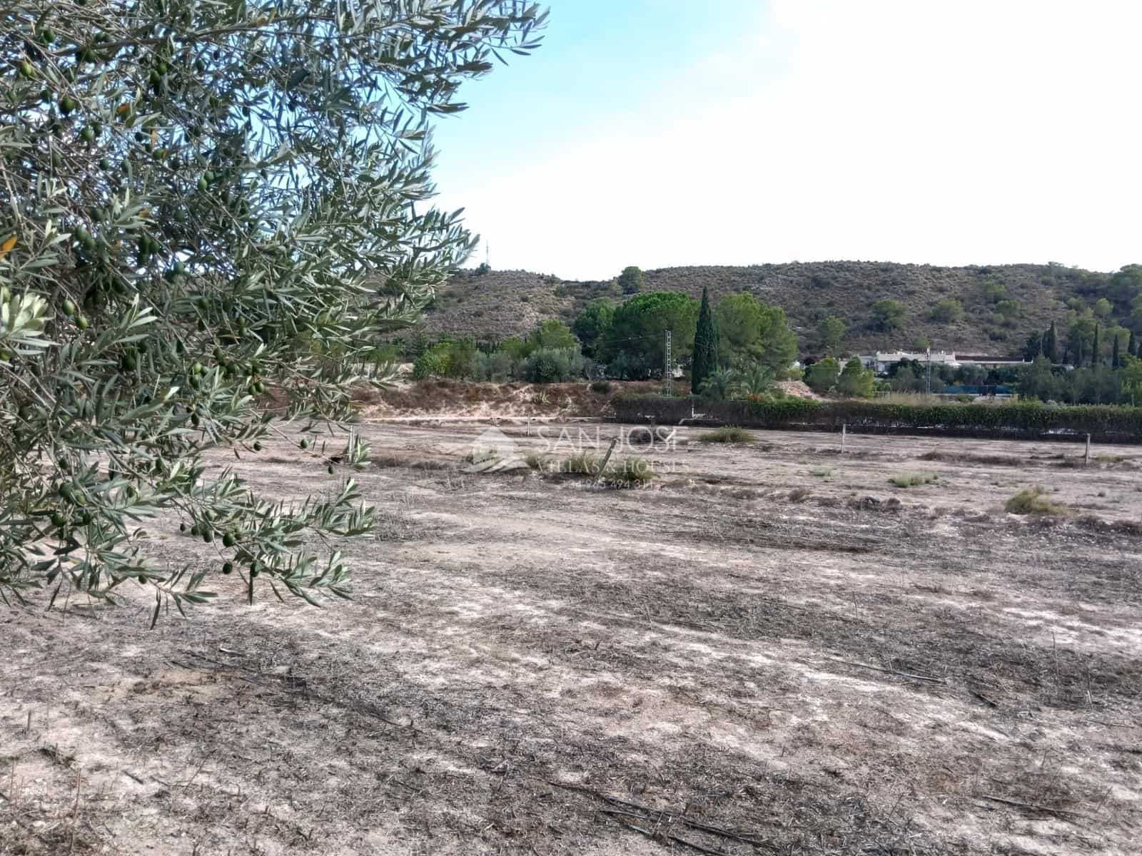 5 soverom Villa til salgs i Monforte del Cid med svømmebasseng garasje - € 366 940 (Ref: 10136012)