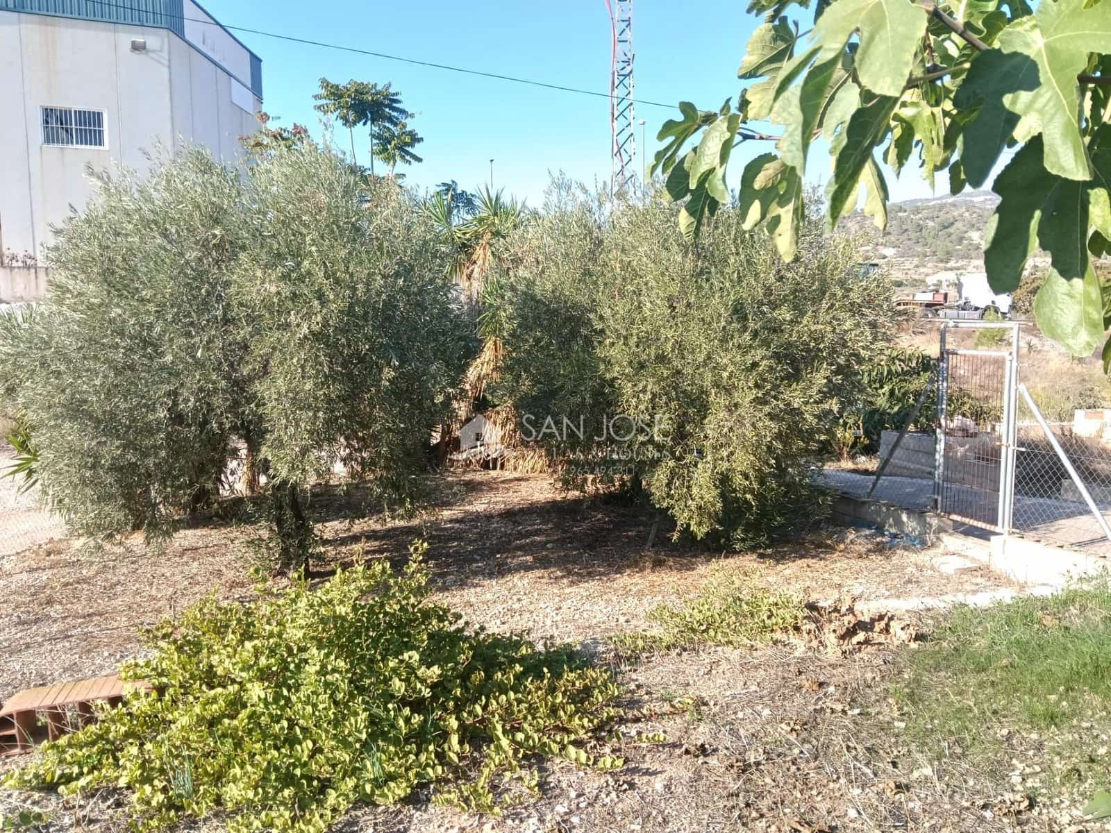 2 Zimmer Finca/Landgut zu verkaufen in La Romana - 67.050 € (Ref: 10168703)