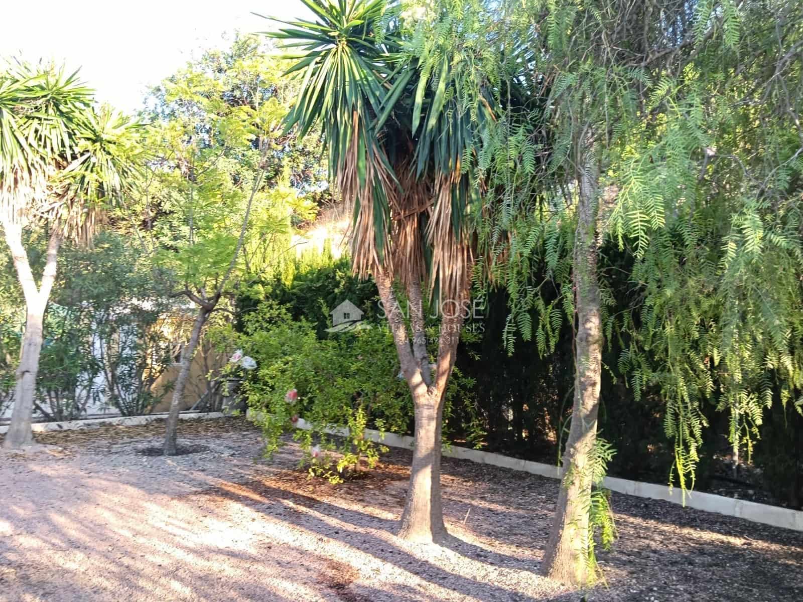 Finca/Country House for sale in Aspe - € 107,260 (Ref: 10171564)