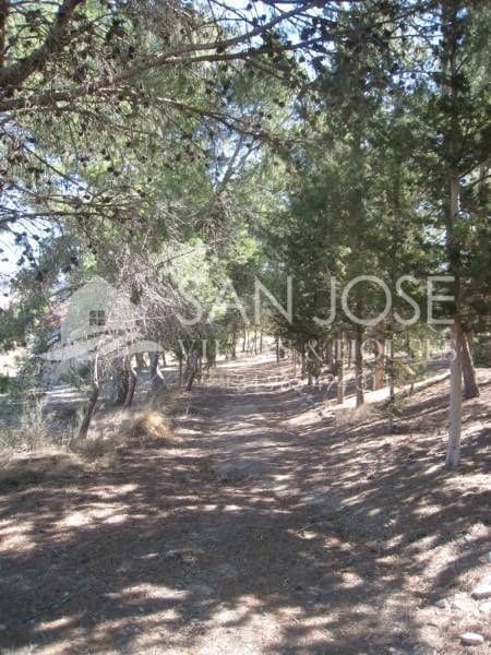 14 sypialnia Willa na sprzedaż w Monovar / Monover z basenem garażem - 2 500 000 € (Ref: 2553420)