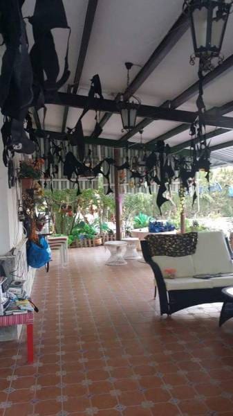 6 soverom Villa til salgs i Crevillente / Crevillent med svømmebasseng garasje - € 494 400 (Ref: 3165892)