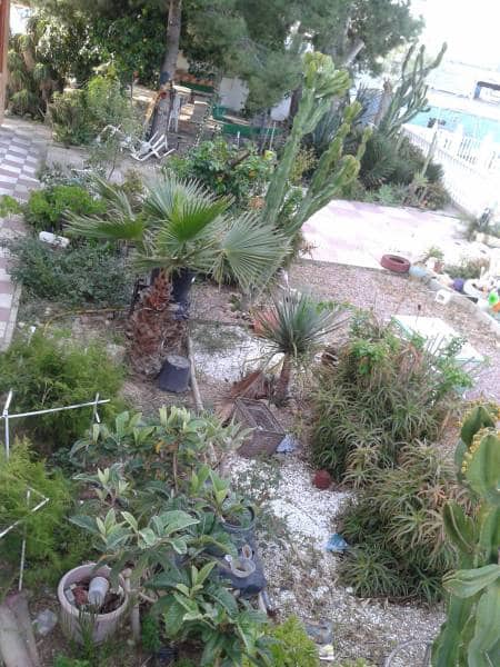 6 soverom Villa til salgs i Crevillente / Crevillent med svømmebasseng garasje - € 494 400 (Ref: 3165892)