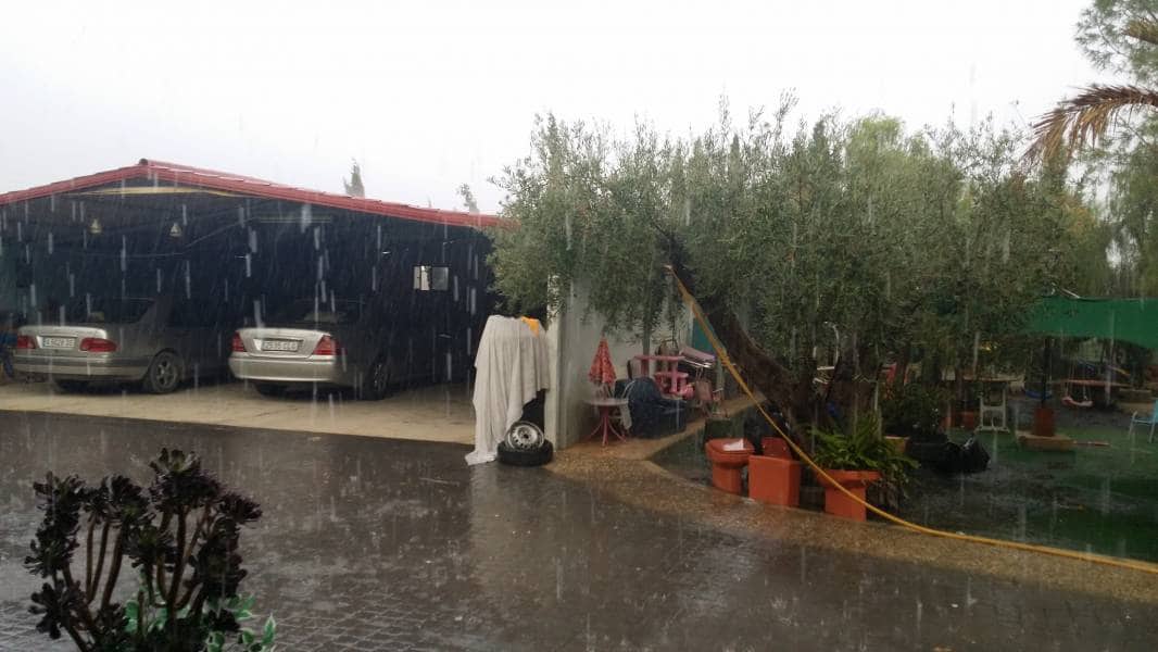 6 soverom Villa til salgs i Crevillente / Crevillent med svømmebasseng garasje - € 494 400 (Ref: 3165892)