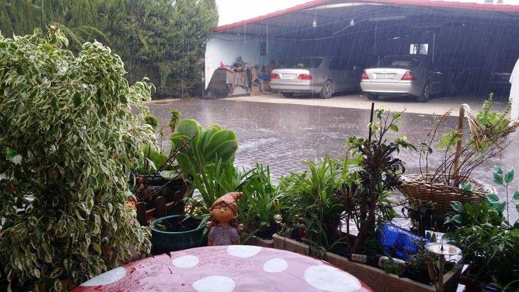 6 soverom Villa til salgs i Crevillente / Crevillent med svømmebasseng garasje - € 494 400 (Ref: 3165892)