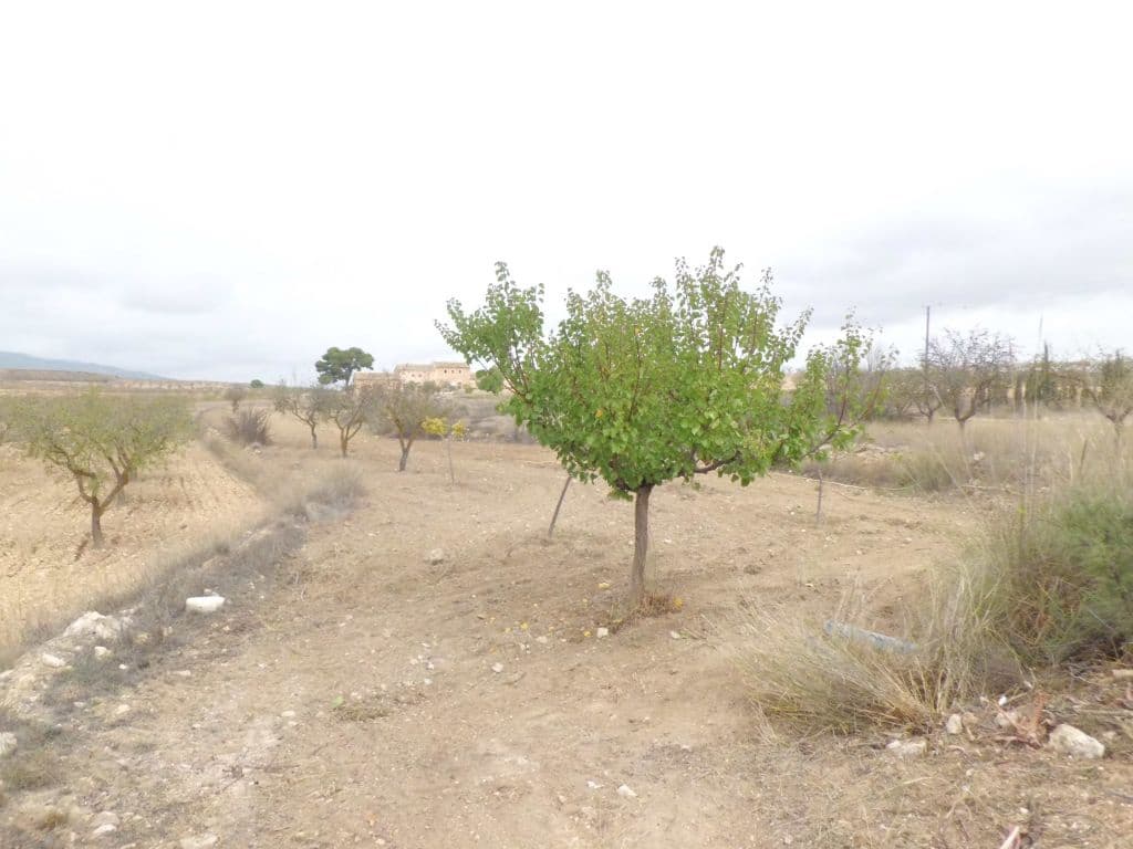 3 bedroom Villa for sale in Pinoso - € 220,000 (Ref: 3505068)