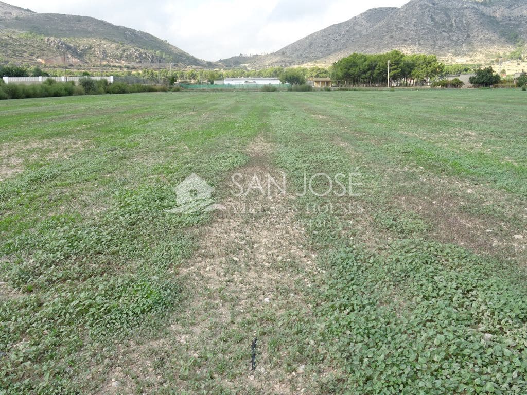 Chalet de 10 habitaciones en Aspe en venta - 500.000 € (Ref: 3570061)