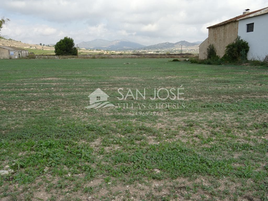 Chalet de 10 habitaciones en Aspe en venta - 500.000 € (Ref: 3570061)