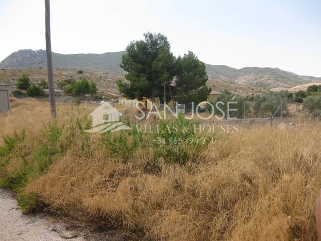 Business for sale in Hondón de las Nieves - € 205,000 (Ref: 3591151)