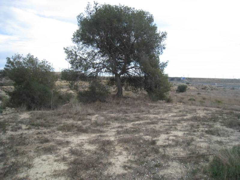 Bouwgrond te koop in Monforte del Cid - € 296.640 (Ref: 3591224)