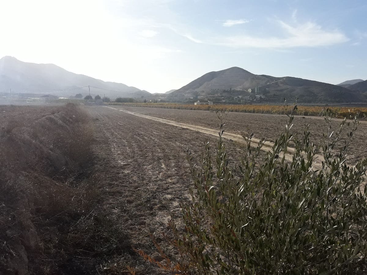 Undeveloped Land for sale in Aspe - € 91,000 (Ref: 3739703)