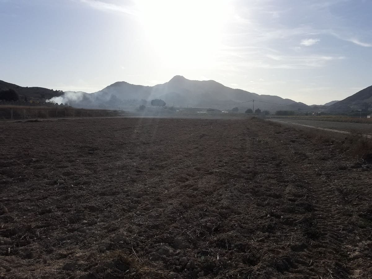 Undeveloped Land for sale in Aspe - € 91,000 (Ref: 3739703)