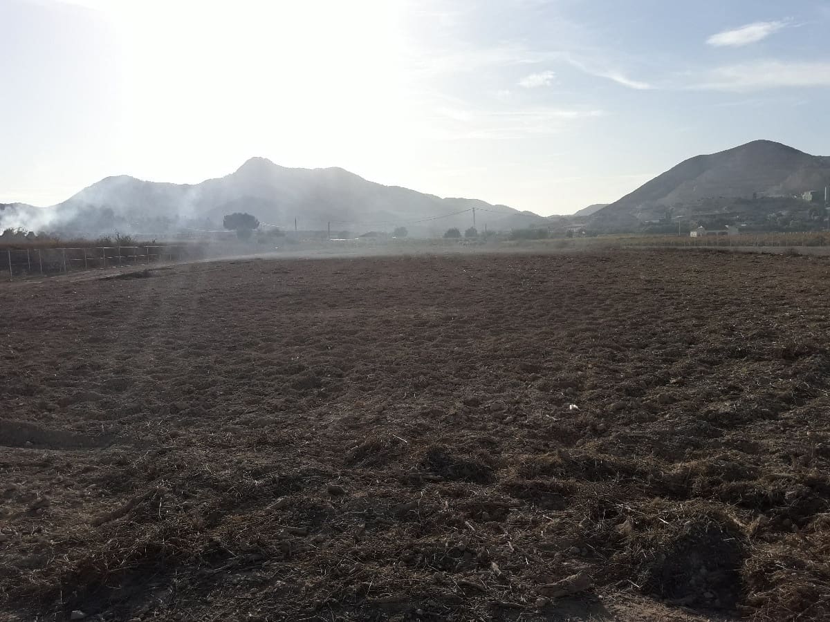 Undeveloped Land for sale in Aspe - € 91,000 (Ref: 3739703)