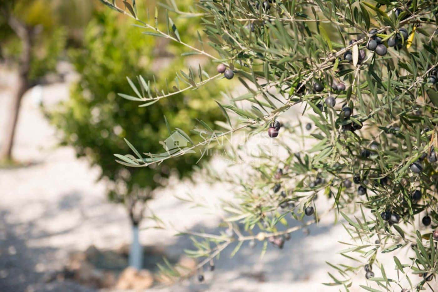 5 camera da letto Villa in vendita in Hondon de las Nieves con piscina garage - 1.799.000 € (Rif: 3859093)