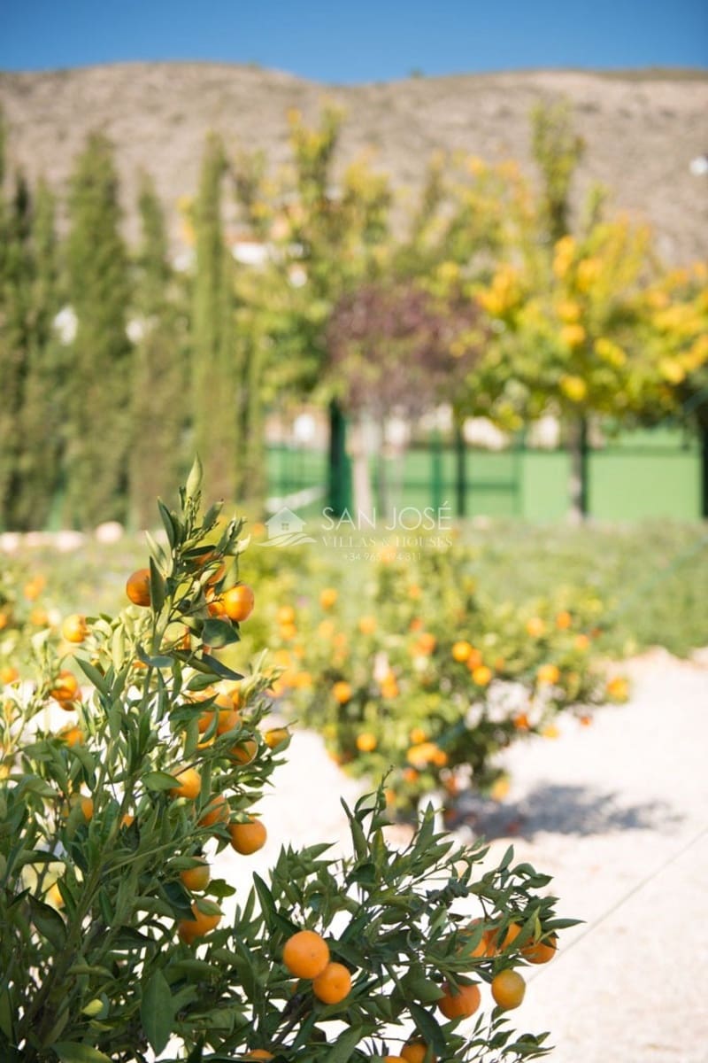 5 camera da letto Villa in vendita in Hondon de las Nieves con piscina garage - 1.799.000 € (Rif: 3859093)