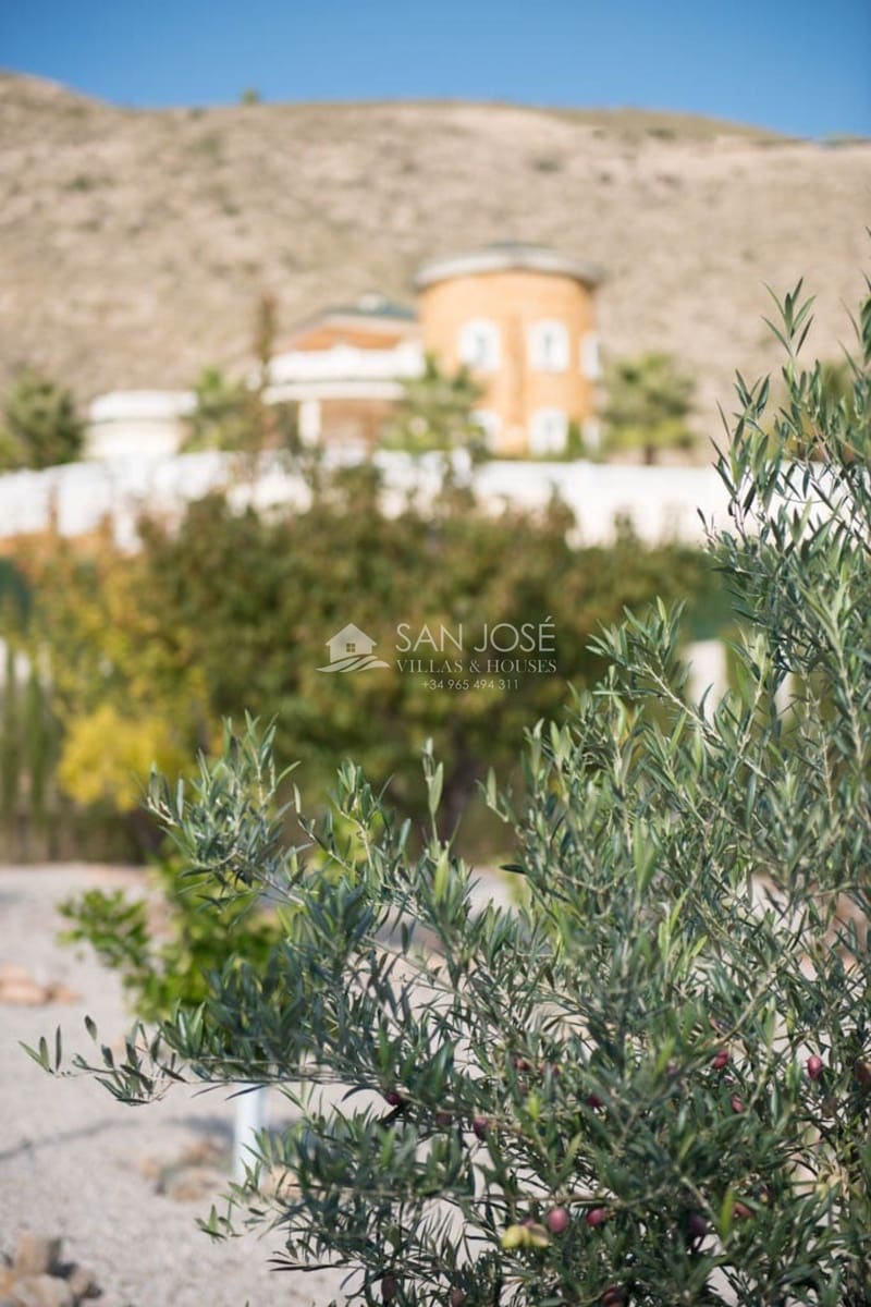 5 camera da letto Villa in vendita in Hondon de las Nieves con piscina garage - 1.799.000 € (Rif: 3859093)